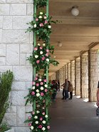 Ureditev vhoda za praznik vrtnic pred Mestno občino